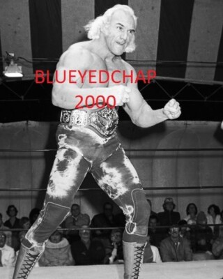 SUPERSTAR BILLY GRAHAM WRESTLER X 10 WRESTLING PHOTO NWA WWWF AWA