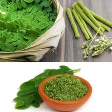 Natural Pure Moringa Leaf Powder(Drumstick) Pure Ceylon herbal tea 100% Organic 