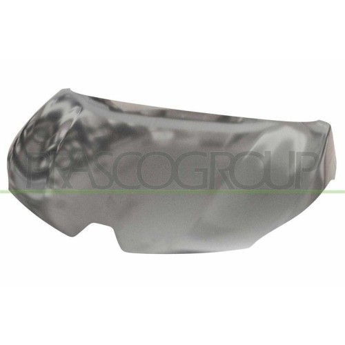 Capot Moteur Prasco RN7003100 Protection Optimale de la Mécanique Renault
