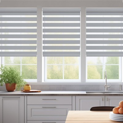 Changshade Corded Window Treatment  Zebra Roller Shades Dual Layer Window Blinds