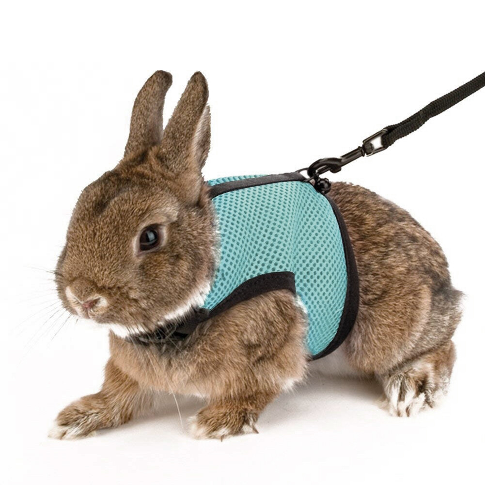 hype puppy clothes