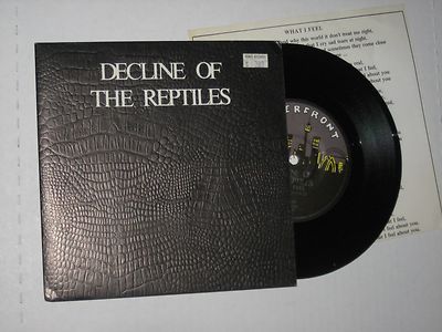 45 rpm DECLINE OF THE REPTILES what i feel WATERFRONT nice SEE PICS 