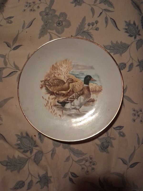 Vintage Mallard Duck Plate Western Germany