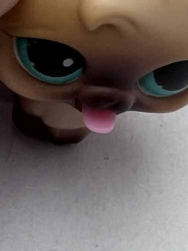 Hasbro 2005 Littlest Pet Shop 1st Generation Rare Cat w Moving Tongue Genuine - Picture 2 of 7
