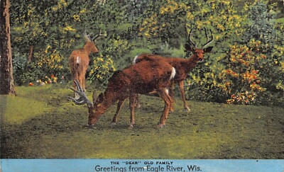 Greetings From Eagle River Wisconsin Grazing Deer 1947 Postcard 9149