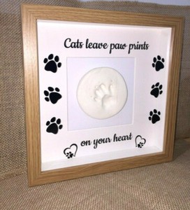 inkless dog paw print kit