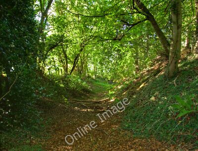 Photo 12x8 Earthworks at Hawridge Court Bellingdon A deep ditch, which is  c2010