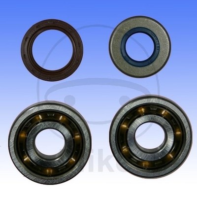 756.33.64 BETAMOTOR 50 RR MOTOR SHAFT BEARINGS 2003-2011