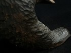 Bild 7 von 18