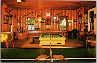 Land O'Lakes Wisconsin Postcard ''Recreation Room - MAPLE GROVE RESORT'' c1960s