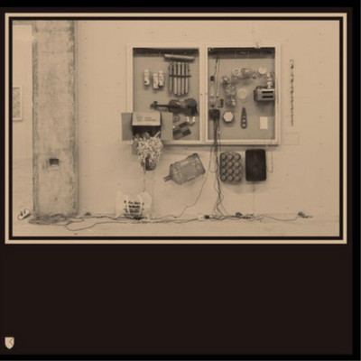 David Van Tieghman Fits & Starts (Vinyl) 12'' Album