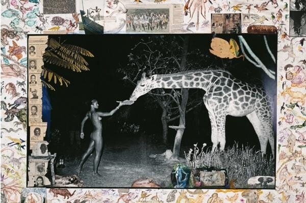 アート・デザイン・音楽 EYELIDS OF MORNING by Peter Beard アート・デザイン・音楽 EYELIDS OF MORNING by Peter Beard
