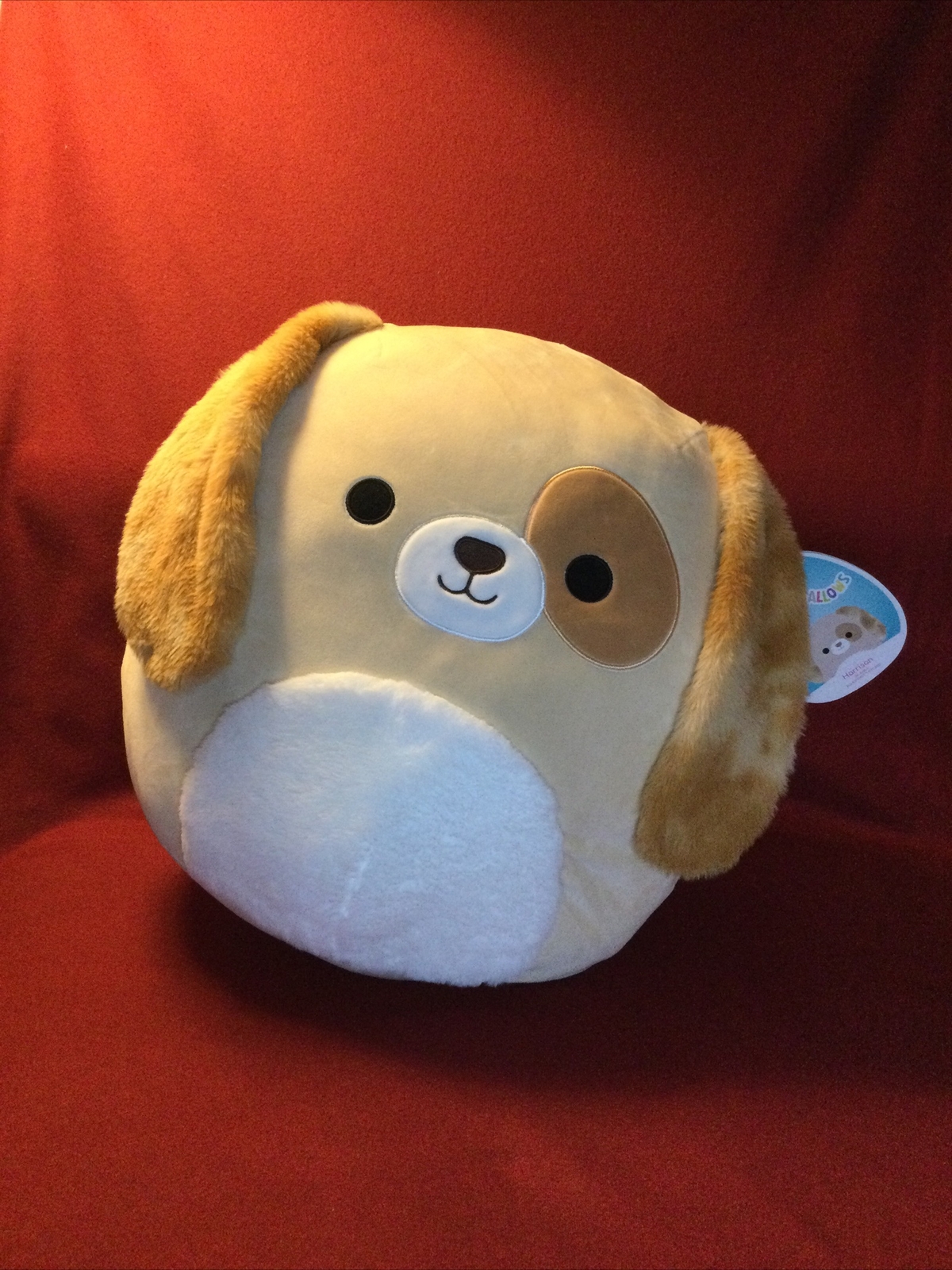 harrison dog squishmallow