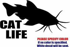 Vinyl Decal Sticker - Cat Life Catfish Fishing Car Truck Bumper Window Fun 12"
