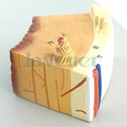 Afbeelding 2 van 5