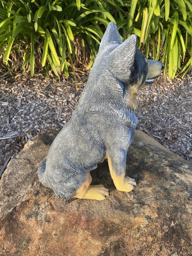 AZUL GANADO PERRO HEELER ESTATUA CACHORRO MEMORIAL ANIMAL JARDÍN ORNAMENTO ESCULTURA - Imagen 4 de 7