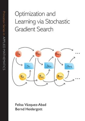 Optimization and Learning via Stochastic Gradient Search by Professor Felisa V?z