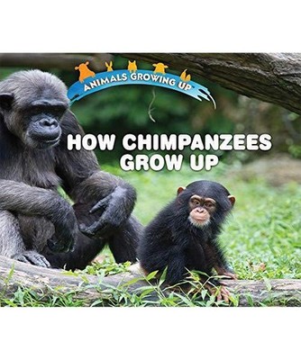 How Chimpanzees Grow Up [Animals Growing Up], Bozzo, Linda