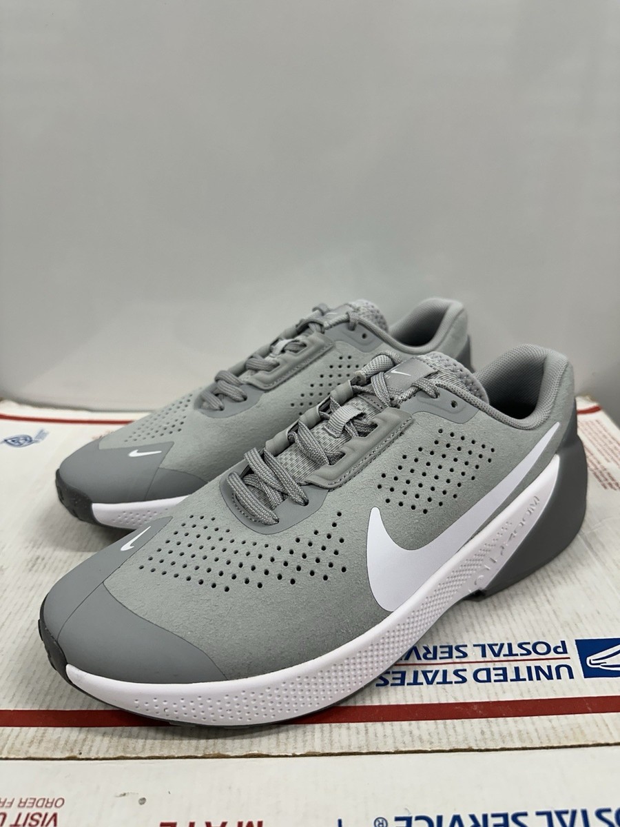 Nike Air Zoom TR 1 'Light Smoke Grey' DX9016 003 Size 11.5 | eBay