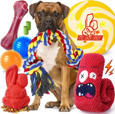 Long-Lasting Heavy Various Dog Chew Toys for Aggressive Chewers,9 Pack Indestruc