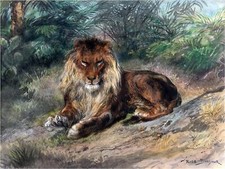 Lion in Jungle R. Bonheur Tile Mural Kitchen Bathroom Backsplash Marble Ceramic