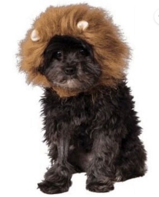 Rubies Pet Shop Fun Halloween Costume Lion Mane Wizard of Oz Sz S/M Dog or Cat