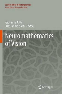 Neuromathematik des Sehens - 9783662510056