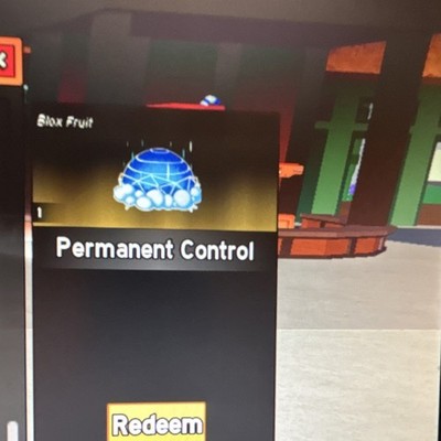 Blox Fruit Permanent Control Game Item Asset Redeemable Virtual Item Collectible