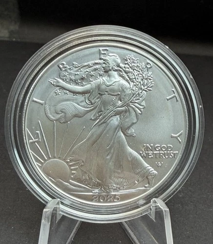 2025 W American Silver Eagle 1 oz Uncirculated Burnished Coin OGP COA US Mint