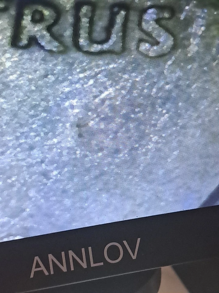 2000  QUARTER  NEW HAMPSHIRE  NO MINT MARK .MINT ERROR  COIN. - Image 3 of 4