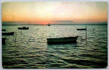 Vintage Solomons MD Sunset Harbor Scene Postcard 1963 Air Mail