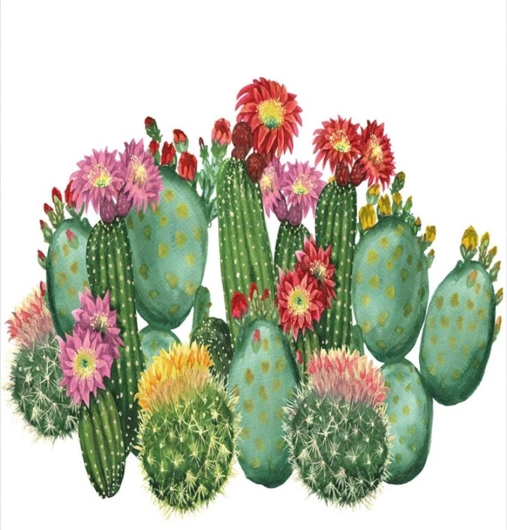 Duvet Cover 3 Piece Bedding Set with 2 Pillow Shams, King Size, Green Pink - Image 2 of 2