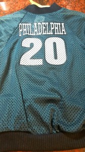 philadelphia eagles dog shirt