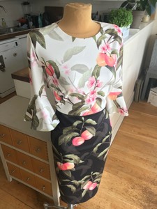 ted baker areea dress