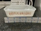 Vintage 1960 Proctor Silex Slow Cook Casserole Milk Glass Wheat Rectangle 7.5x10