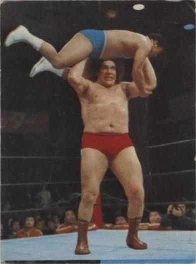 Andre the Giant Trading Cards for sale | eBay