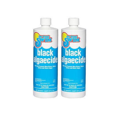 In The Swim Black Algaecide   Eradicates Black Algae in Swimming Pools - Copper