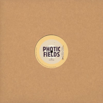 V.A. - Fields Of Light (Vinyl 12'' - 2014 - EU - Original)