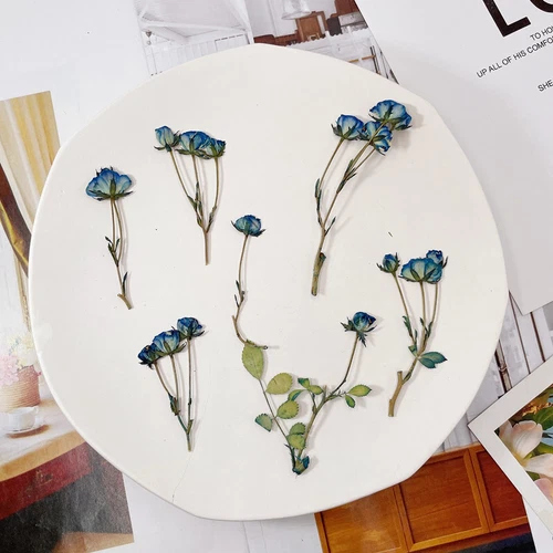 Dried Pressed Flowers Natural Epoxy Resin Candle Nail Art Scrapbooking Craft AU - Picture 125 of 210