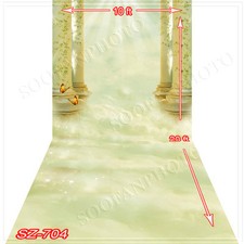 Indoor 10'x20'Computer/Digital Vinyl Scenic Photo Backdrop Background SZ704B88