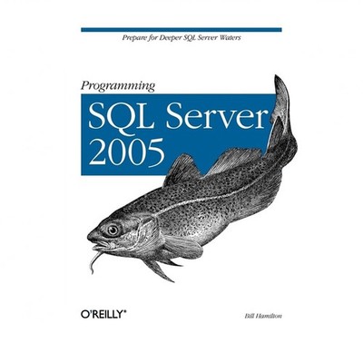 Programming SQL Server 2005: Prepare for Deeper SQL Server Waters