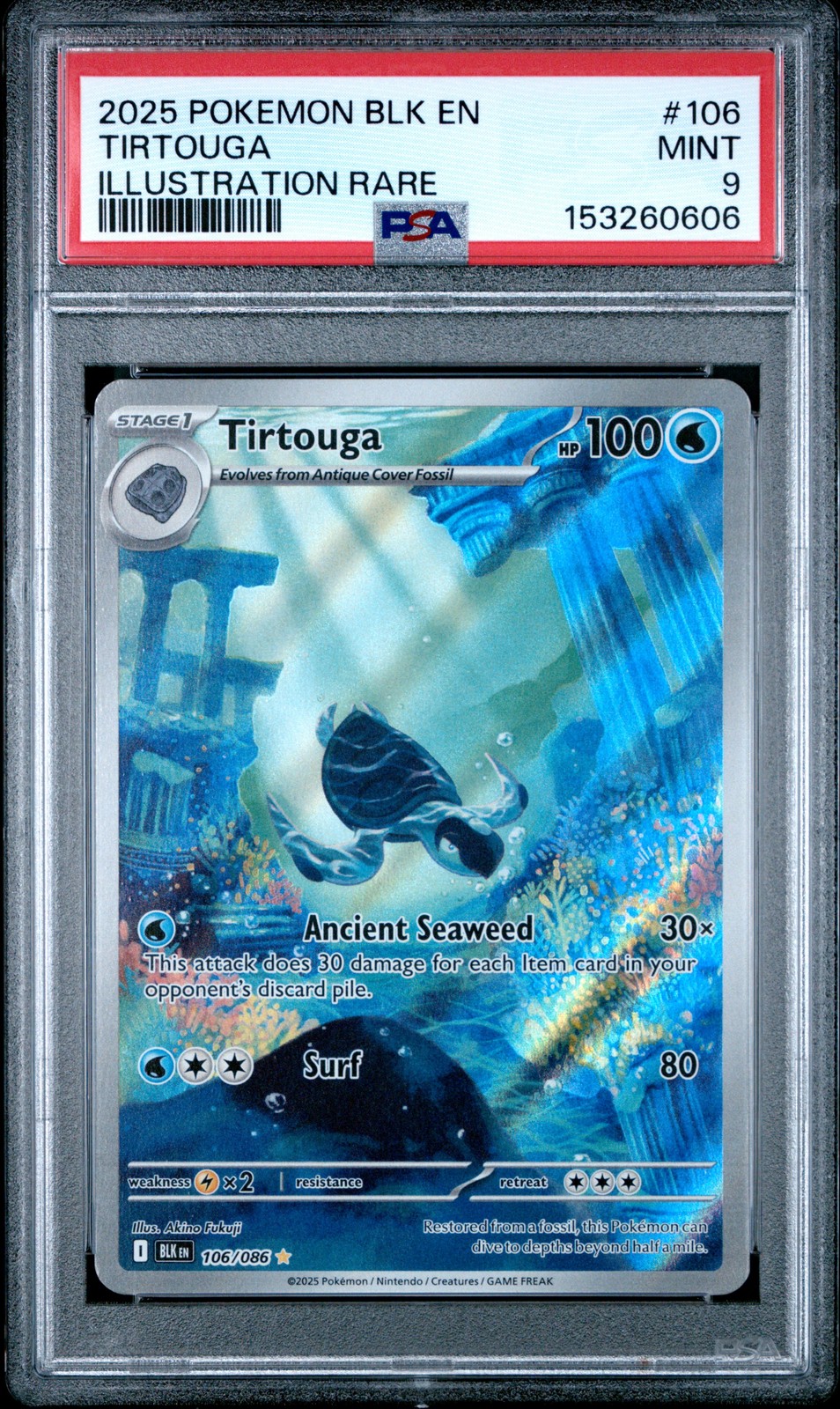 Tirtouga #106