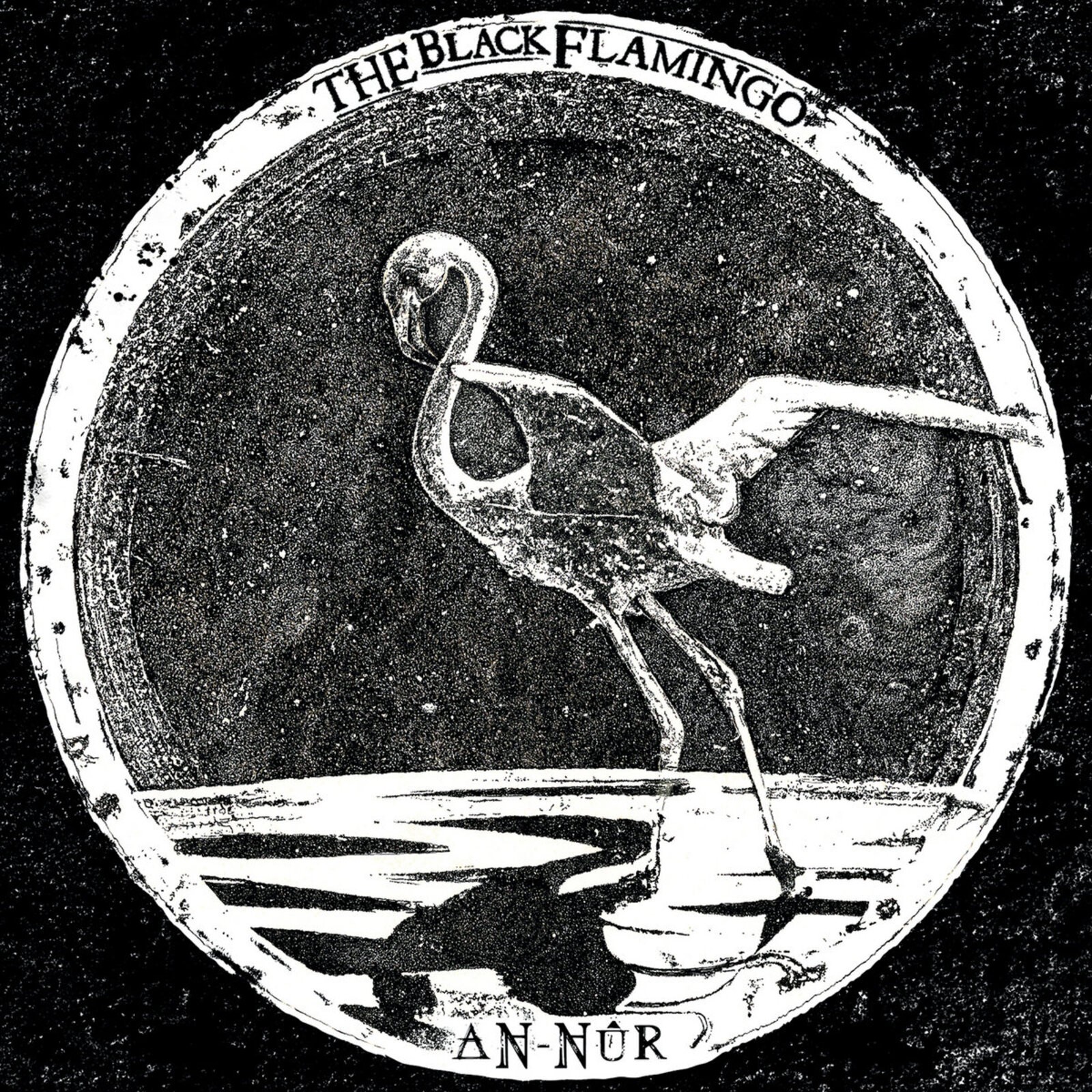 Black Flamingo An​-​n​u​r LP Vinyl NEW
