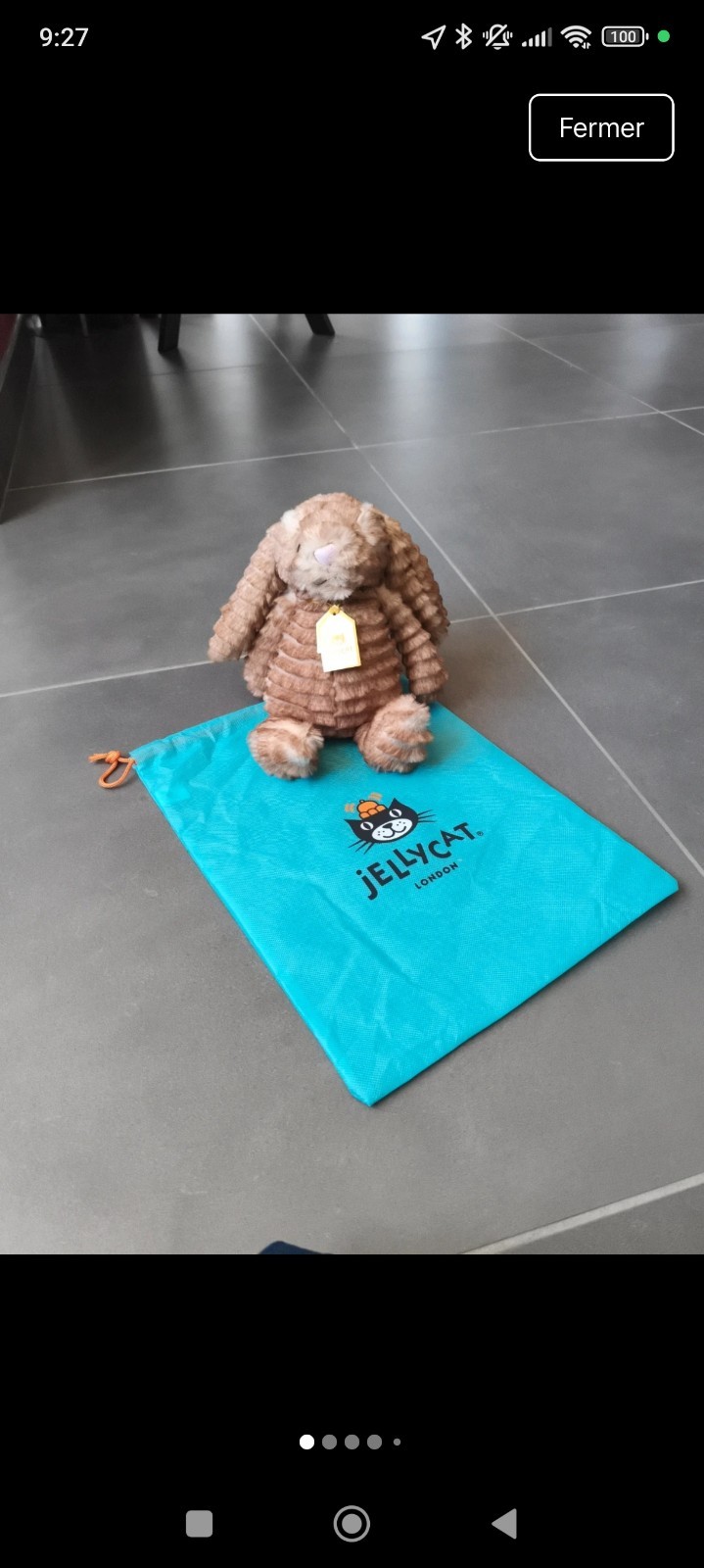 Jellycat bunny rare le lapin en peluche saine pour peaux sensibles
