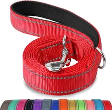 New Double-Sided Reflective Dog Leash Padded Handle Fast Shipping