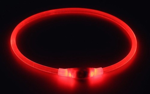 RECHARGEABLE LED Light-up Flash GLOW COLLAR Dog Pet Safety MICRO USB adjustable - Picture 4 of 25
