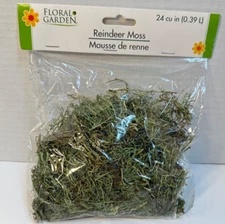 Floral Garden  Reindeer Moss (24 cu in.) & Miniature train Collector Decor FH21