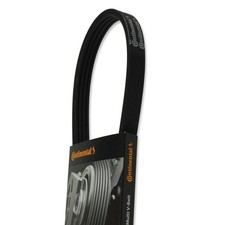CONTITECH  -  Keilrippenriemen BMW 3er(E46)