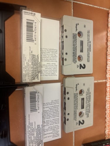 The Waterboys Cassette Lot S/T A Pagan Place This Is The Sea Room To Roam VG+ - Zdjęcie 7 z 10