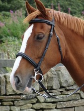 CLEARANCE Turners Stunning Black Leather Snaffle Cavesson Horse Riding Bridle